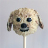 Coco Cake Pops